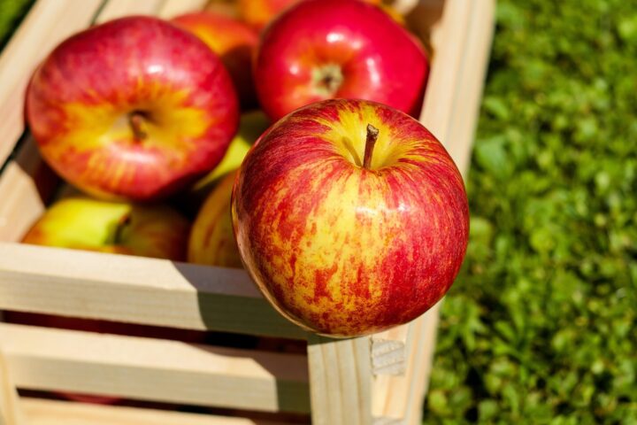 Фермеры области продали в Астане 180 тонн продукции