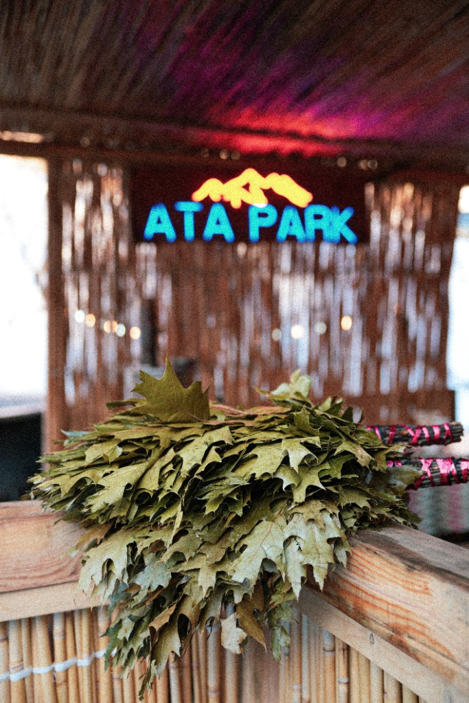 ata park 3