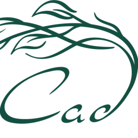 Салон красоты «Сад beauty bar» — Алматы