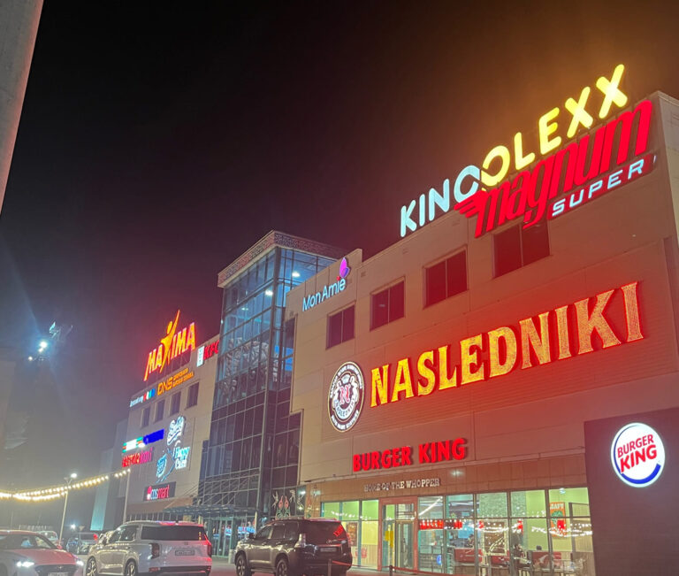 max 1 768x651