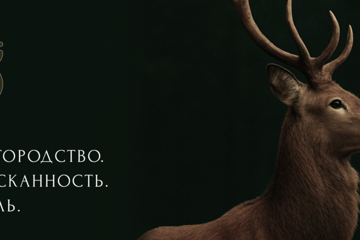 Бар Forest Lounge & Cafe — Алматы