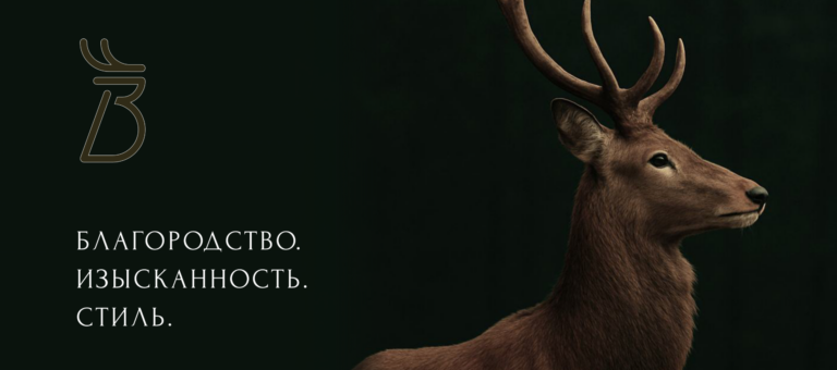 2cc7be85e63446fdaf9e4399a96836f6 scaled 768x340