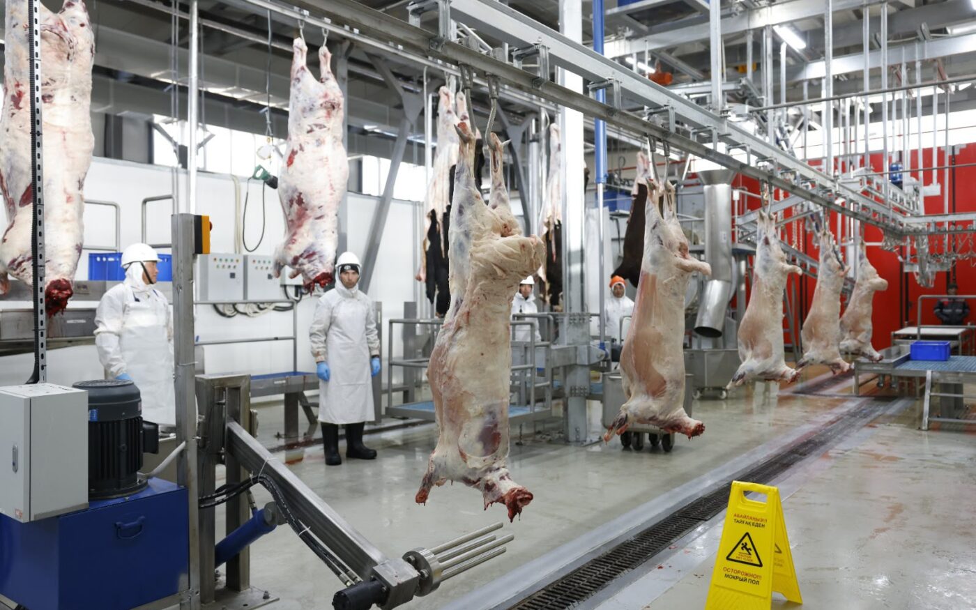 Открытие мясоперерабатывающего завода «КегенМясПром» в Кегенском районе