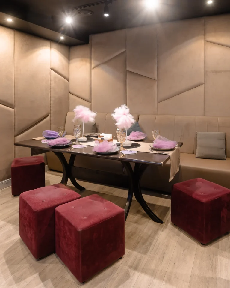 gallery karaoke pink 768x960